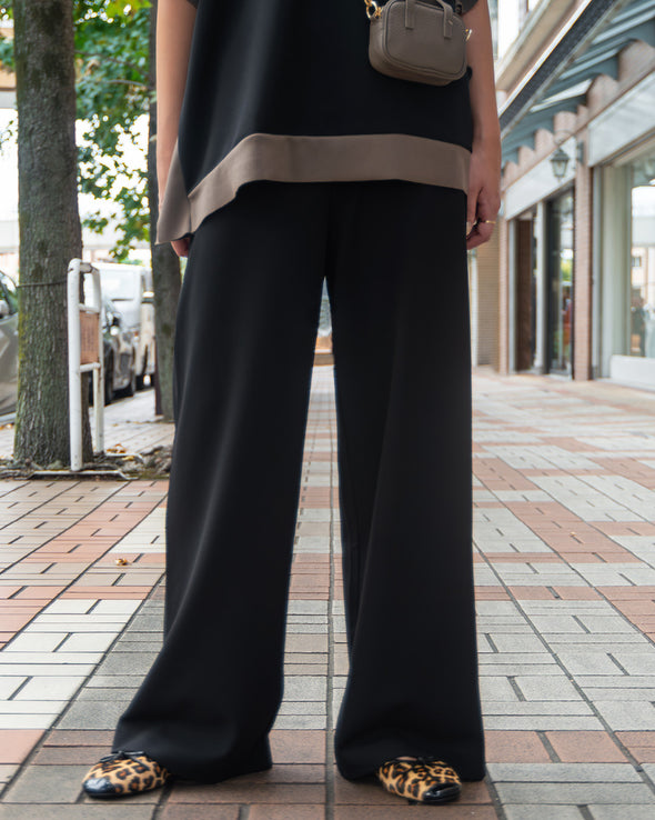 【ASHELEN】ストレッチジョーゼット・ワイドパンツ(156550401)