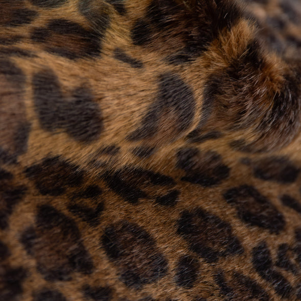 【ASHELEN】レオパード柄フラップカバー・M(156551501)