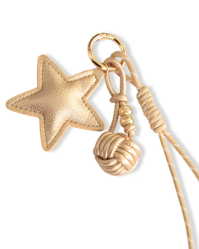 accessoire du H.】シャイニーフェイクシボレザー・スターチャーム